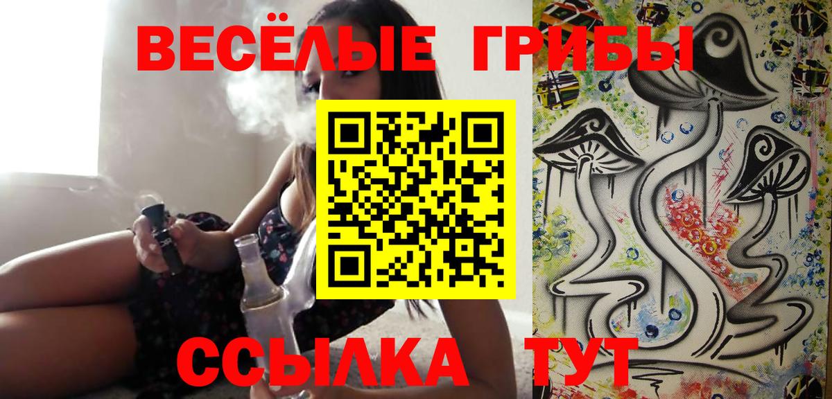 Галлюциногенные грибы GOLDEN TEACHER Ступино